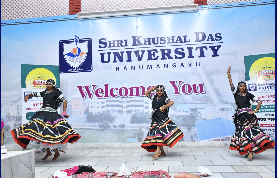SKDU Digital College Activities photo 2